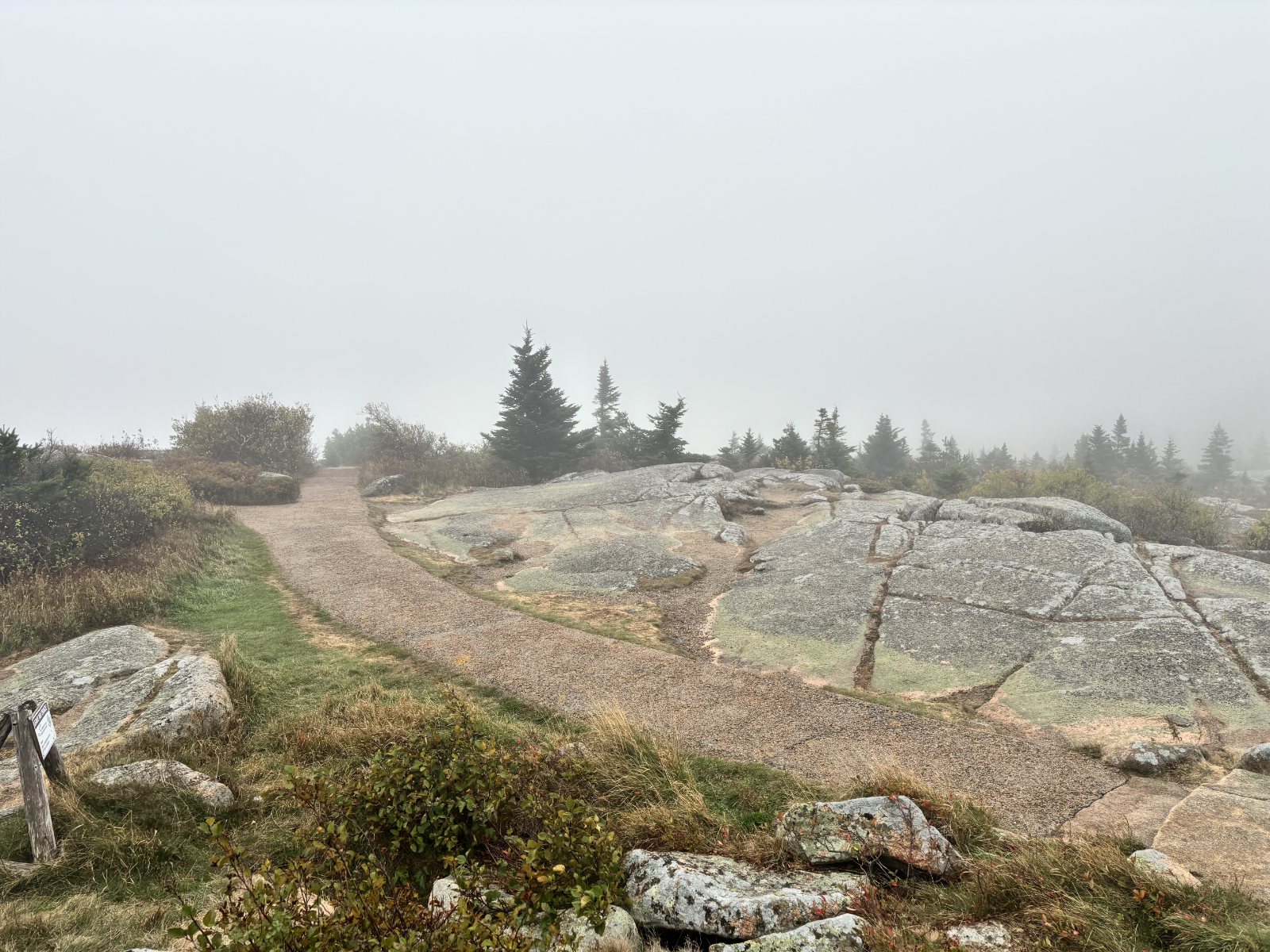 The summit path on Cadillac Mountain, Acadia, in the fog