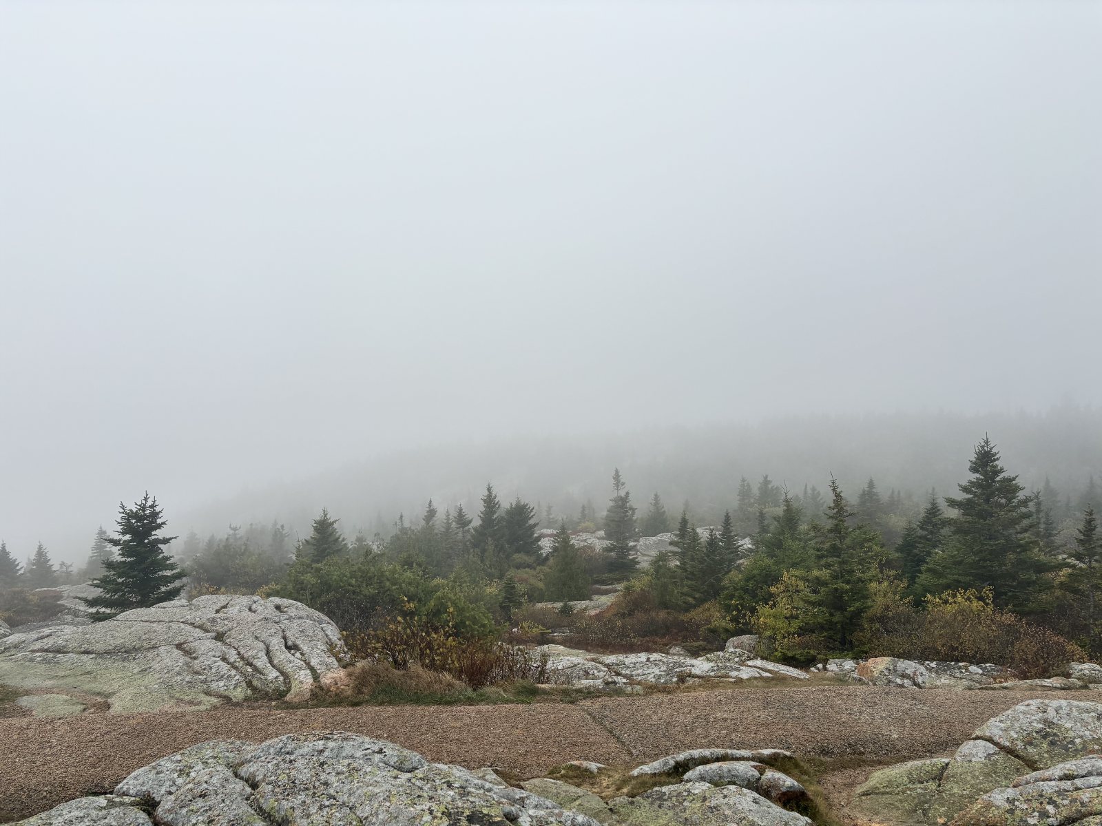 Cadillac Mountain summit in the fog, Acadia National Park