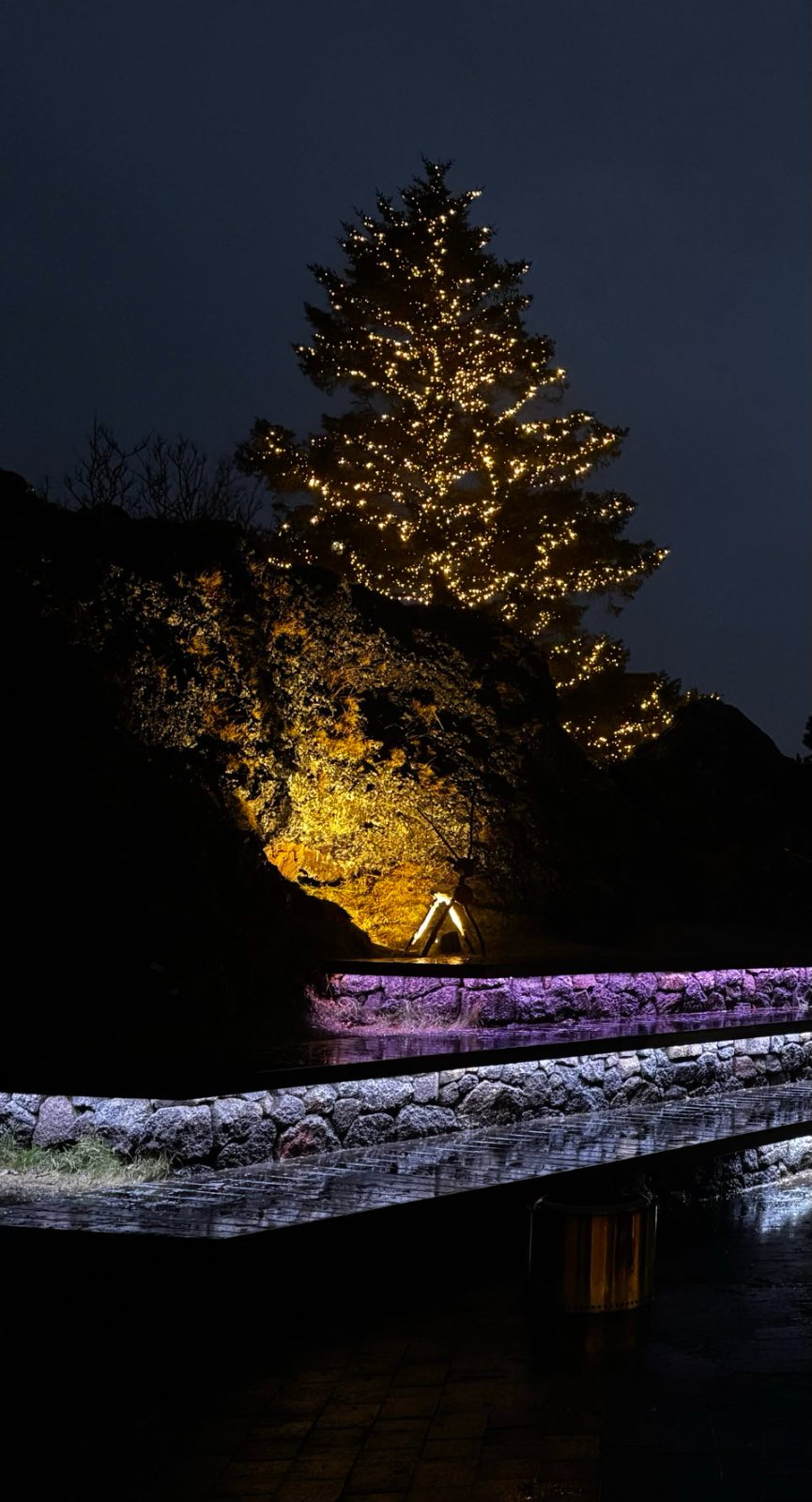 The Christmas tree at Hellisgerði park, Hafnarfjörður