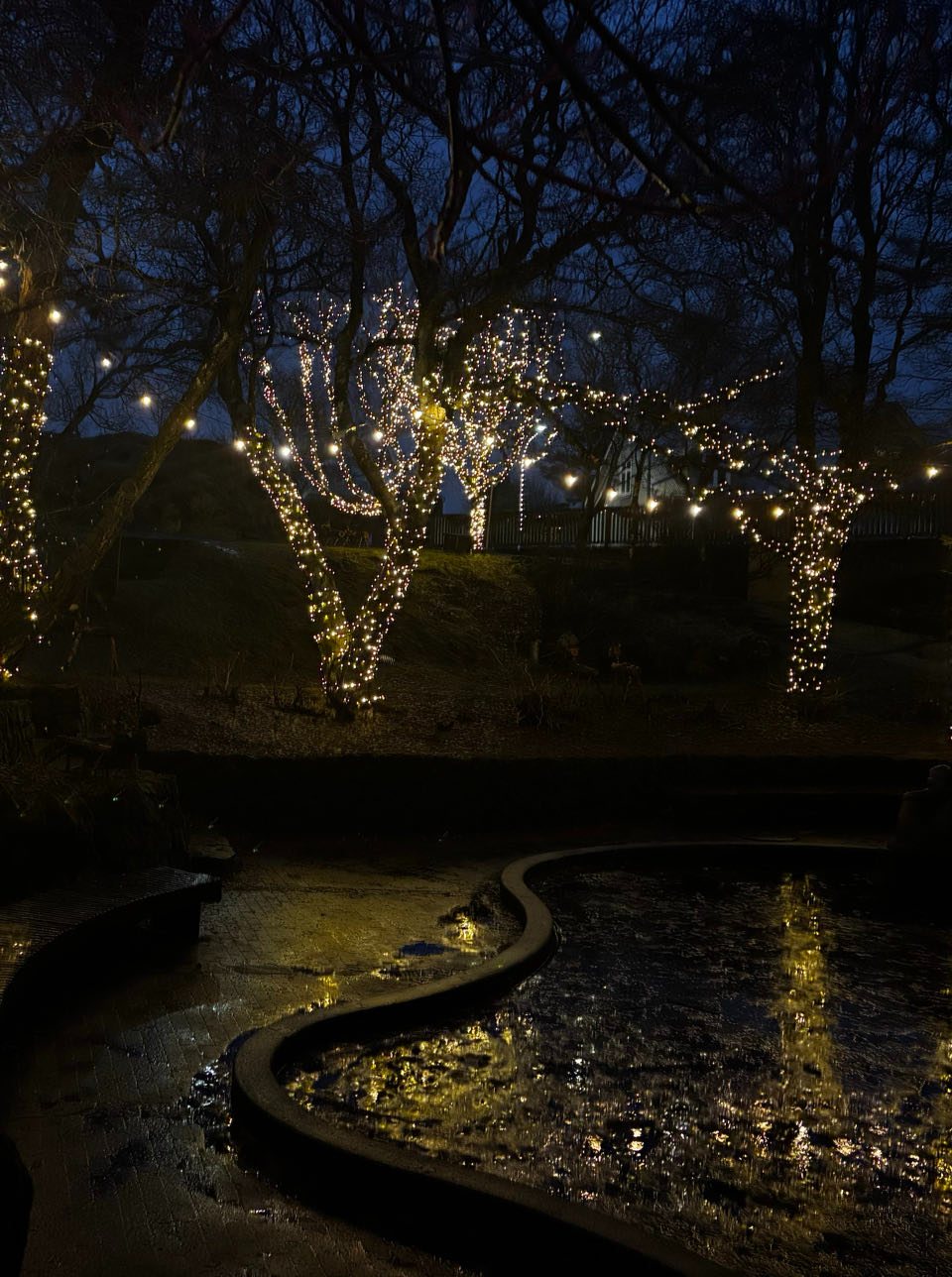 Hellisgerði park at night, Hafnarfjörður