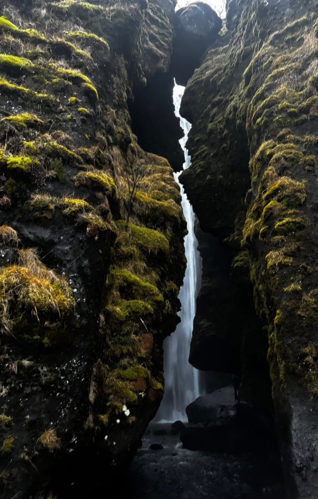 Inside the Gljúfrabúi gorge, Iceland