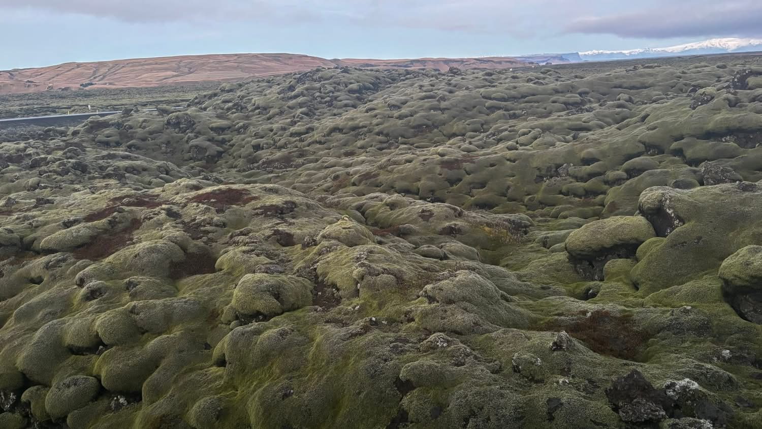 The Eldhraun lava field, Iceland