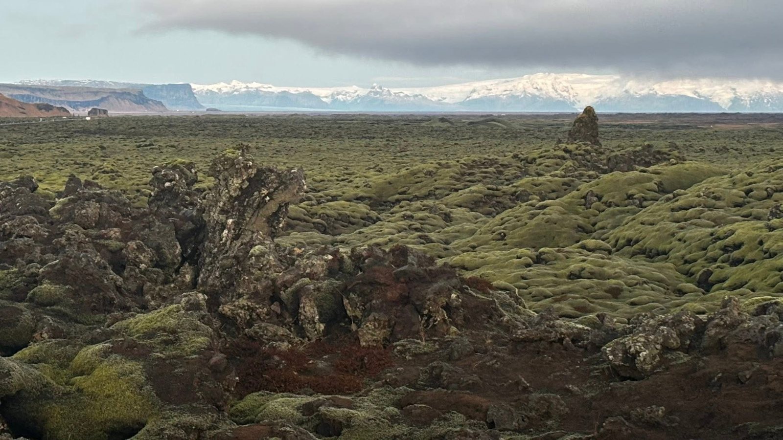 The Eldhraun lava field, Iceland